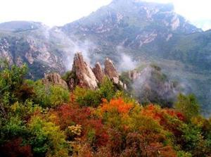 藤龙山登山挑战之旅