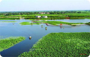 石家庄到保定自驾一日游