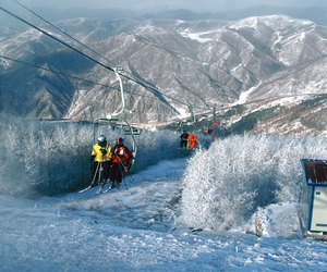 大美崇礼奥运冰雪二日游！        