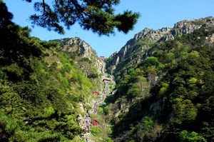 山东济南 泰山观日出二日游（品质）